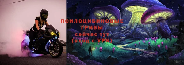 PSILOCYBIN Магадан