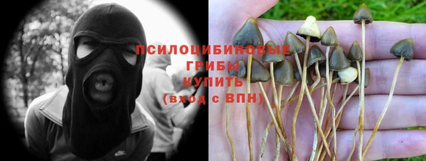 винт Магас