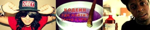 крисы Майский