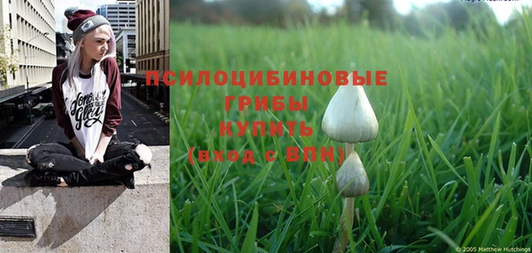 PSILOCYBIN Магадан