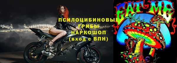 крисы Майский