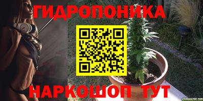 ПСИЛОЦИБИНОВЫЕ ГРИБЫ Гагарин