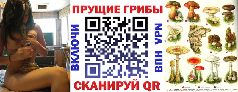 Псилоцибиновые грибы Psilocybine cubensis  Мариинск 