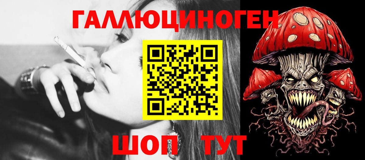 Галлюциногенные грибы Psilocybe Мариинск