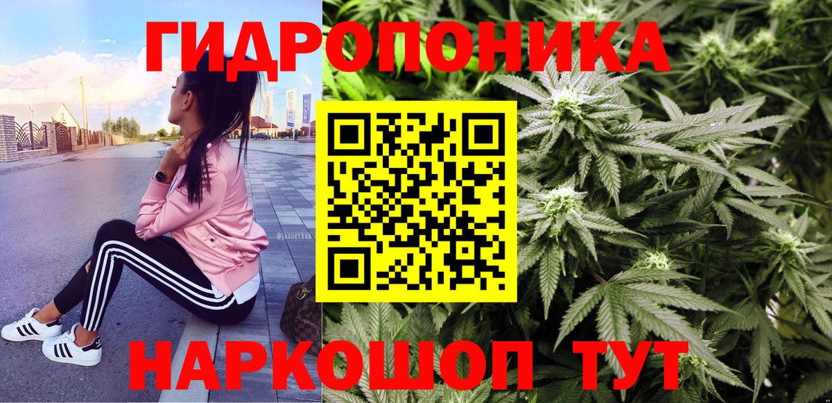 Бошки Шишки гибрид  Мариинск  Бошки марихуана SATIVA & INDICA 